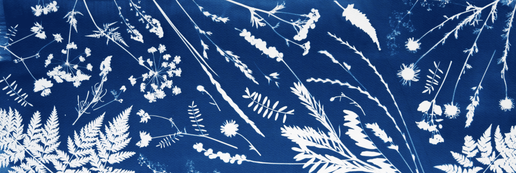 Heure Bleue par Elisa Sanchez